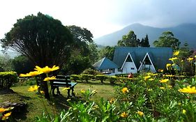 Camelot Resort Munnar 3*
